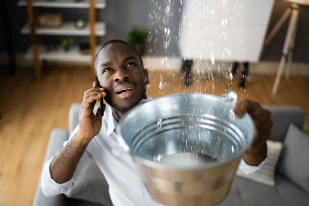 Best Flood damage cleanup  in Sea Ranch, CA
