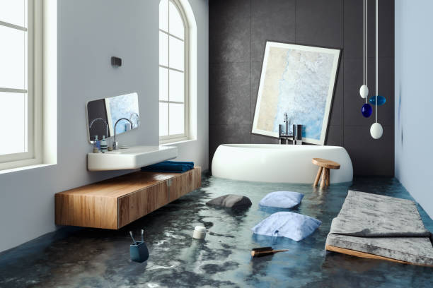 Best Water damage restoration near me  in Sea Ranch, CA