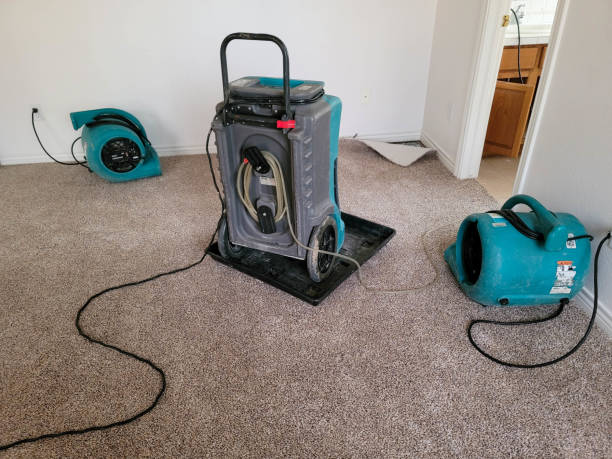 Best Residential water damage restoration  in Sea Ranch, CA
