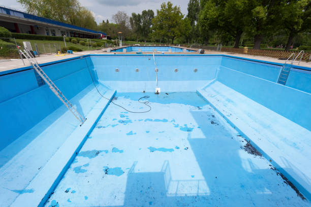 Best Professional water damage repair  in Sea Ranch, CA