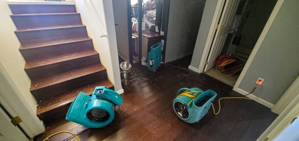 Best Water damage contractors near me  in Sea Ranch, CA