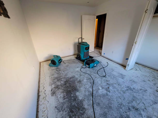 Best Flooded house restoration  in Sea Ranch, CA