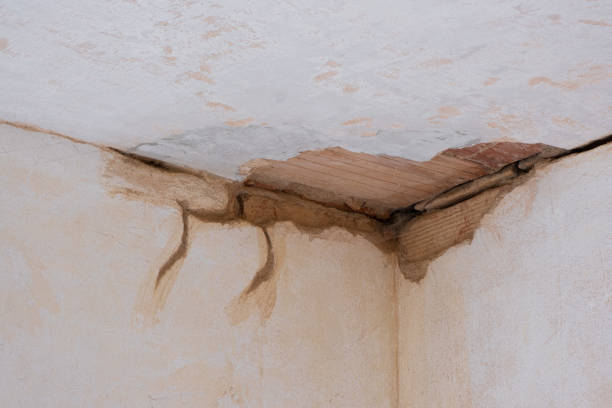 Best Local water damage restoration  in Sea Ranch, CA