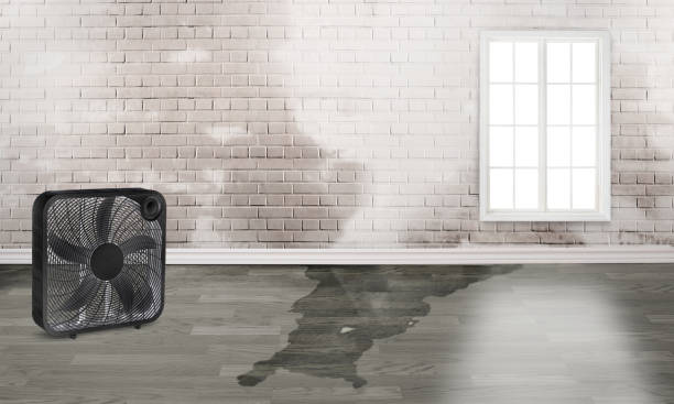 Sea Ranch, CA Water damage restoration Company