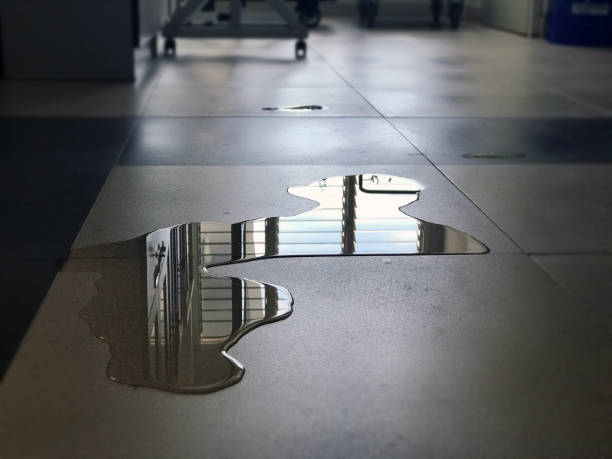 Best Water damage cleanup near me  in Sea Ranch, CA