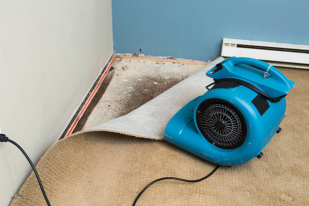 Best Residential water damage restoration  in Sea Ranch, CA