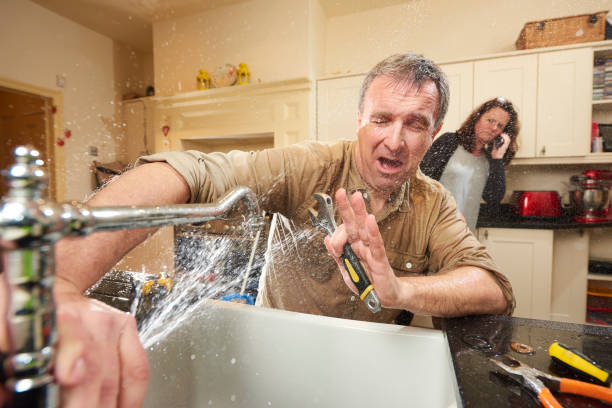 Best Mold removal after water damage  in Sea Ranch, CA